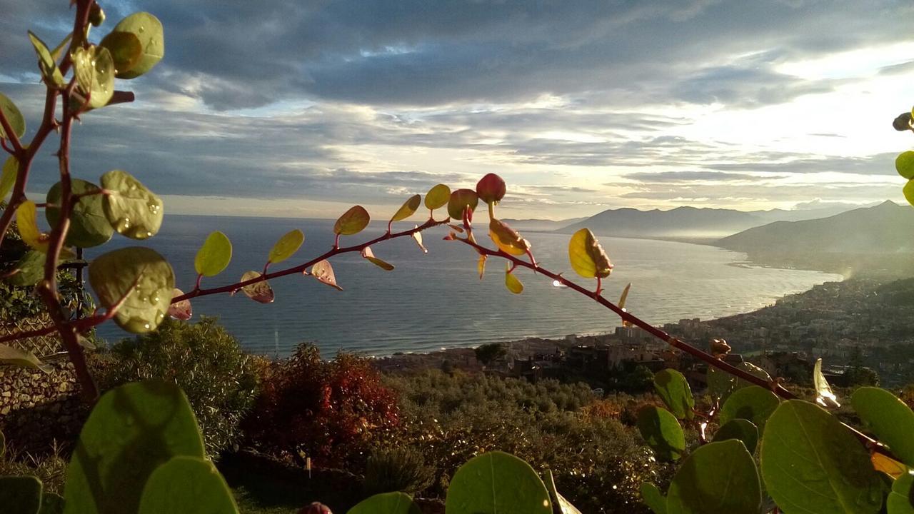 Hôtel La Rosa Dei Venti à Finale Ligure Extérieur photo